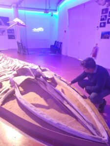 ד"ר אביעד שיניין מסביר לנו על עצמות לויתן, צילום ליבי ברגמן
