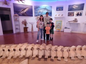 מרכז הדולפין והים באשדוד, חוויה משפחתית מומלצת צילום אלבום פרטי