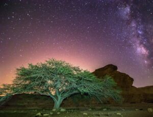 מטאורים בשמי הלילה, צילום: יונתן אליחיס
